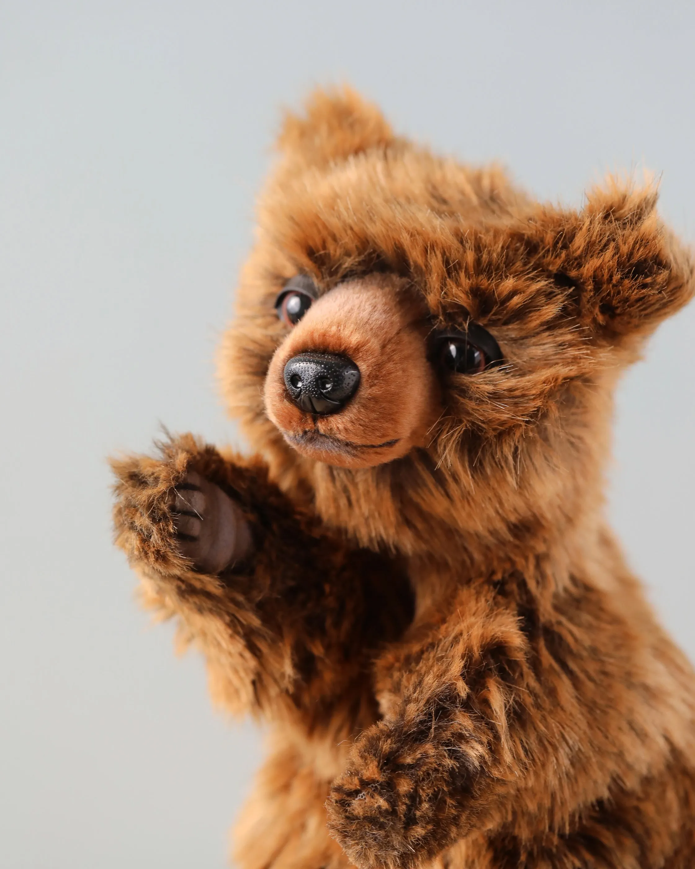 Bear Puppet