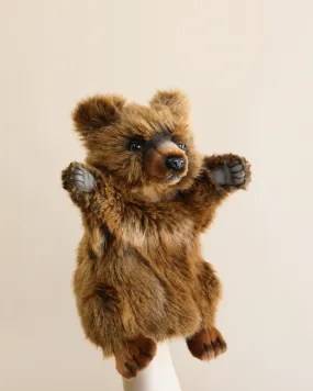 Bear Puppet