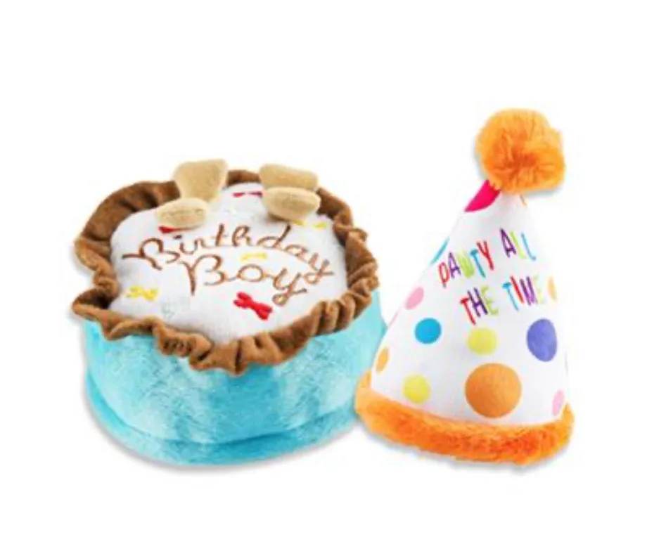 Birthday Boy Cake & Party Hat Celebration Set