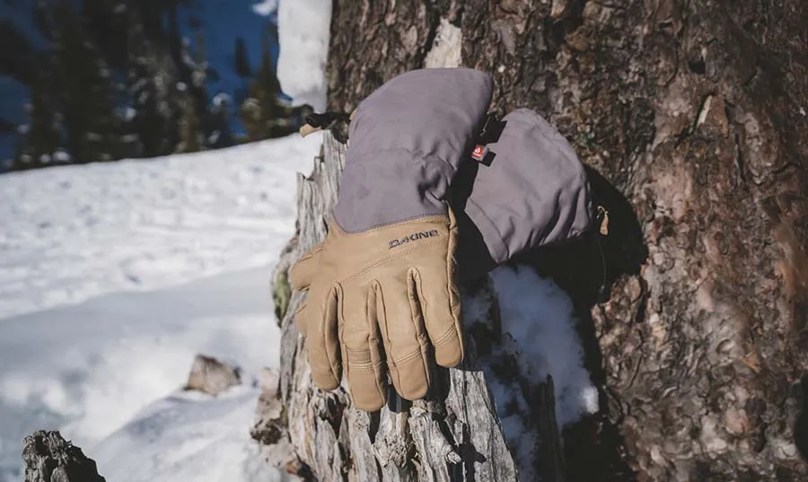 Continental GORE-TEX Glove - Women's